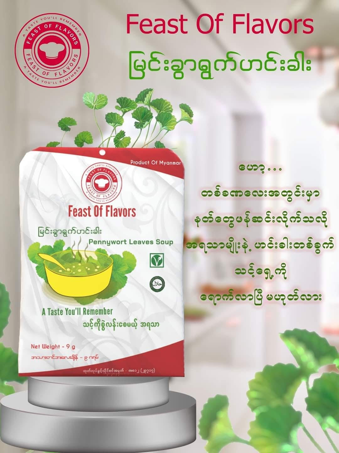 Feast of Flavours မြင်းခွါရွက်ဟင်းခါး