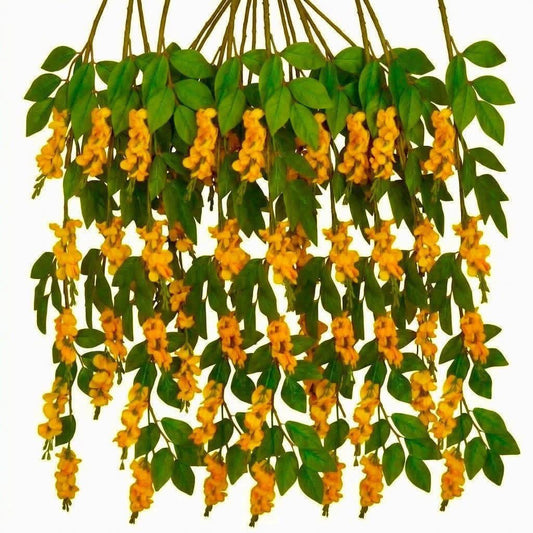 ပိတောက်နွယ် (အပွင့် ၅+ အရွက် ၅)