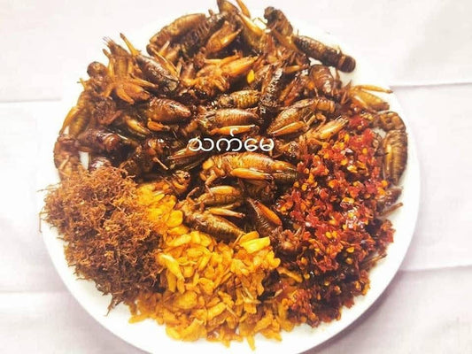 သက်မေ ဥပုရစ်ကြော် အမသီးသန့် (၁၀၀)