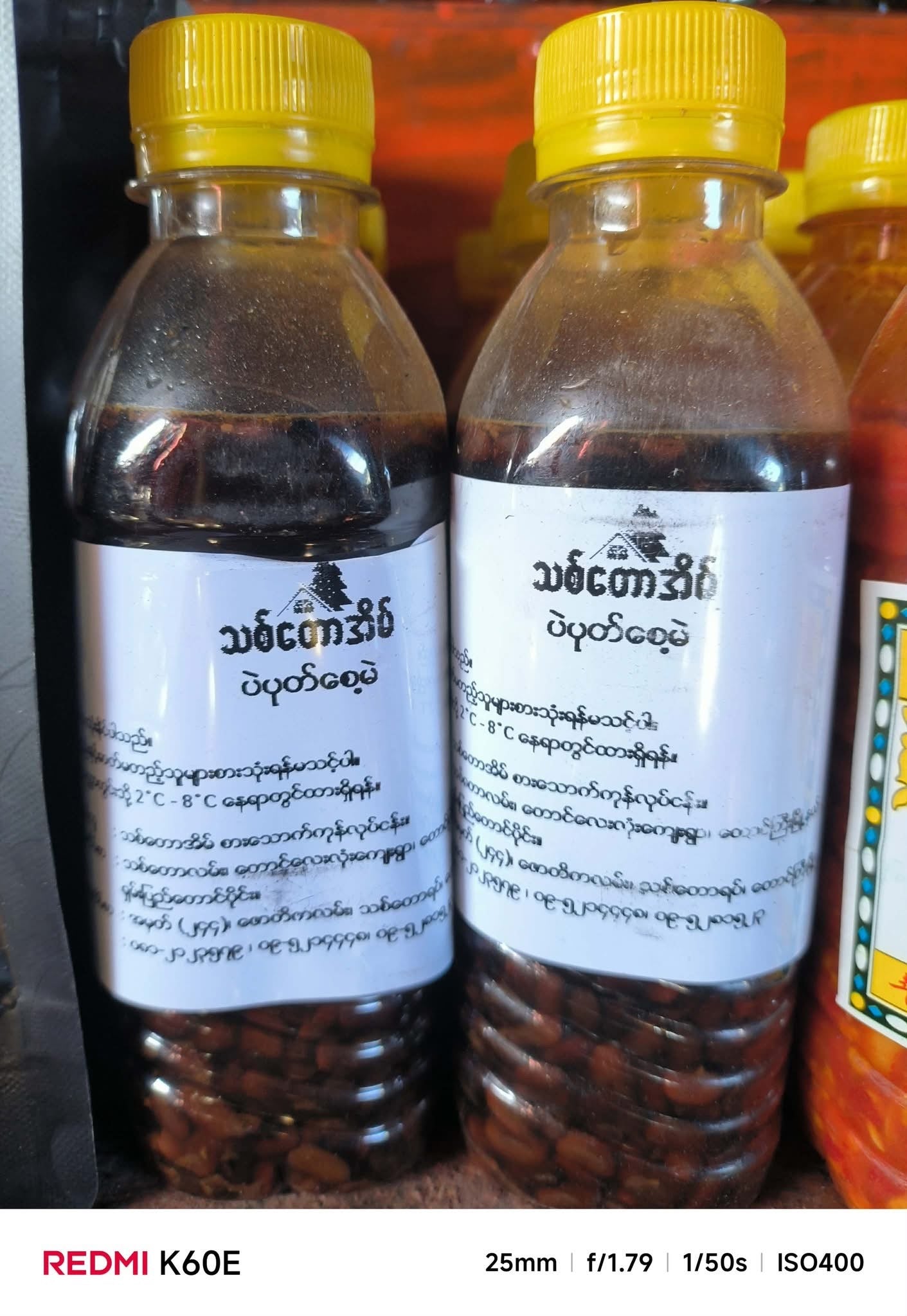 သစ်တောအိမ် ပဲပုတ်စေ့မဲ