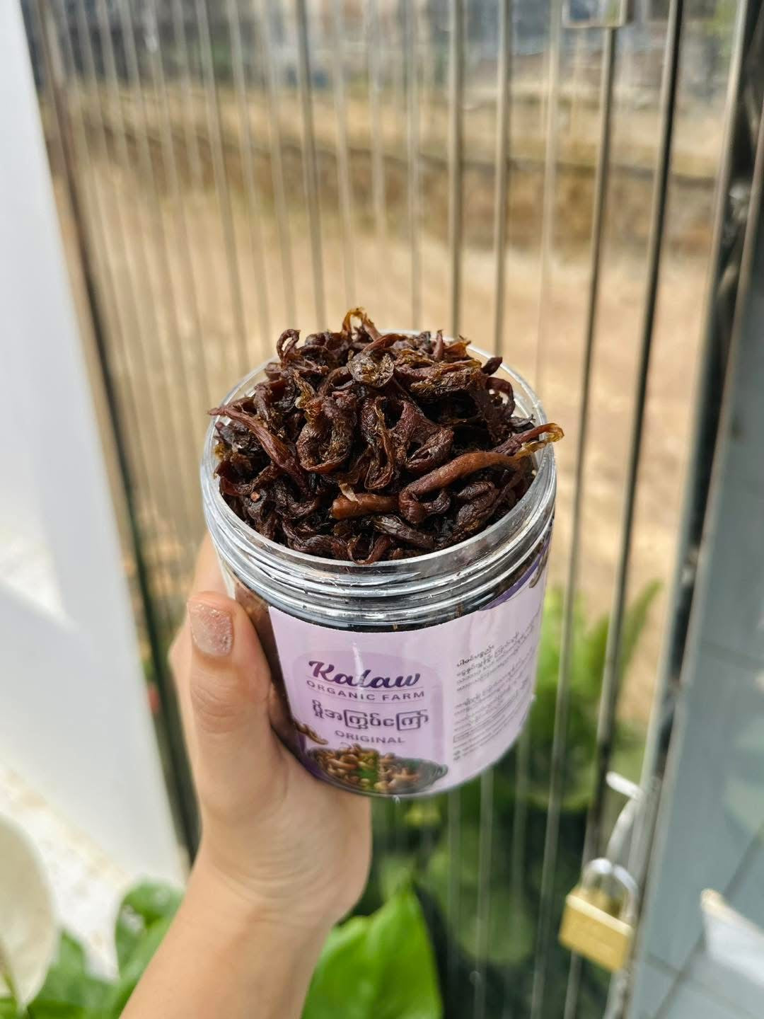 KOF မှိုအကြွပ်ကြော် 170g