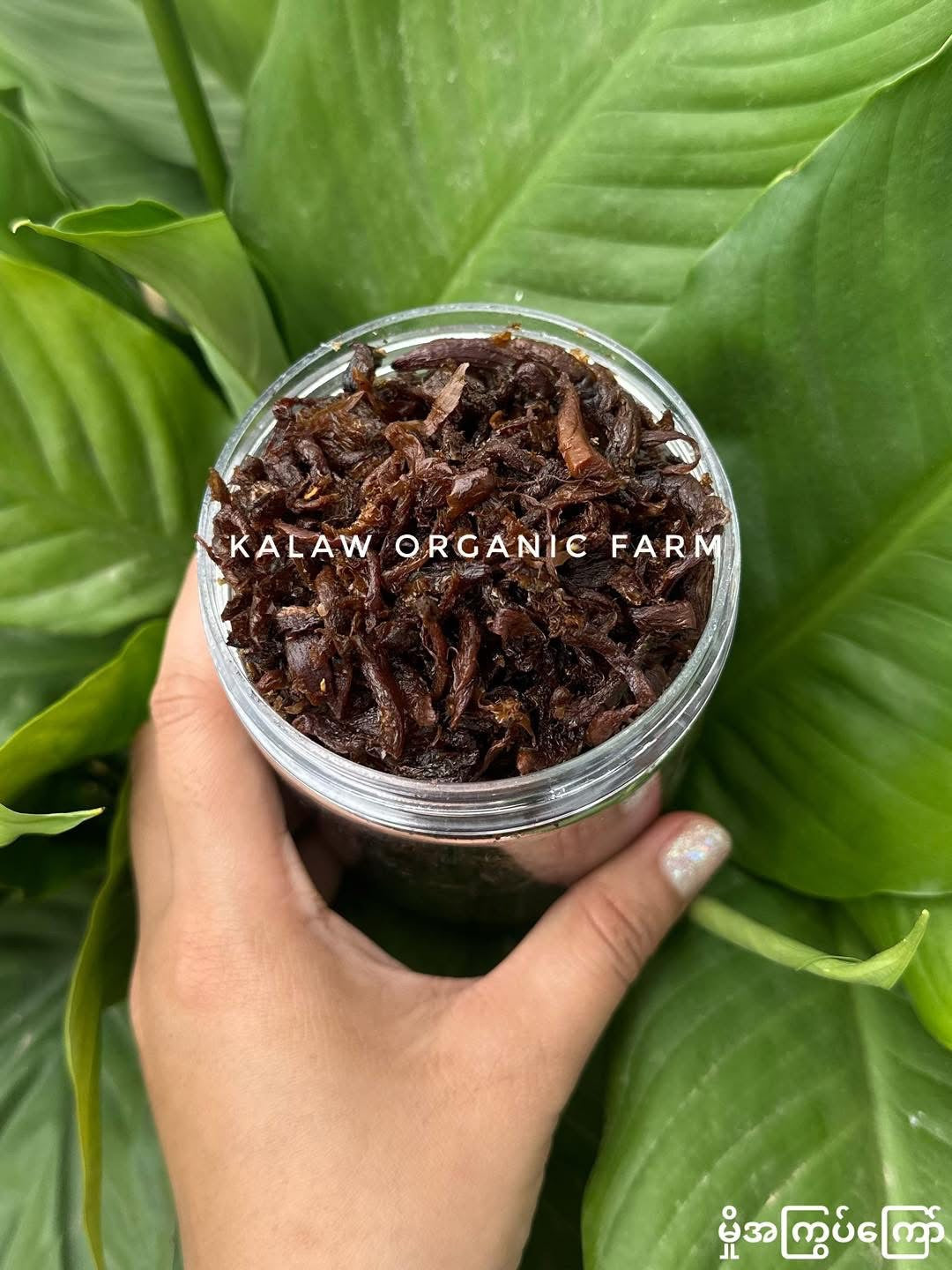 KOF မှိုအကြွပ်ကြော် 170g